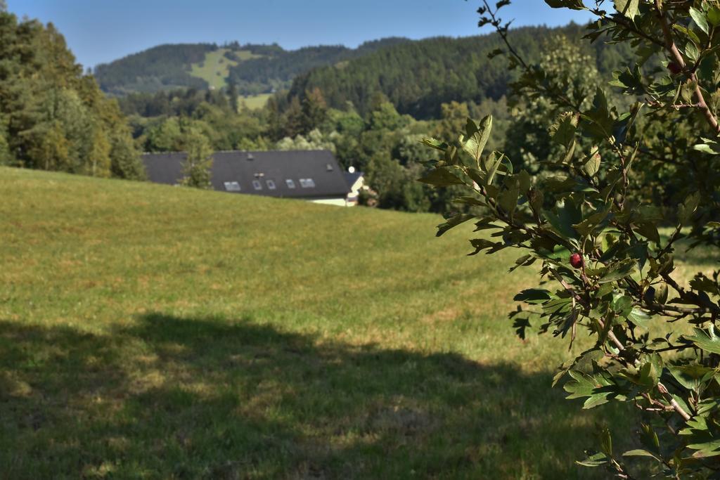 Penzion Vincent Dolní Moravice Exteriér fotografie